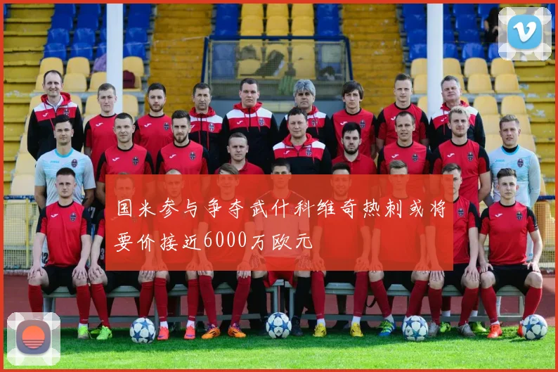 国米参与争夺武什科维奇热刺或将要价接近6000万欧元
